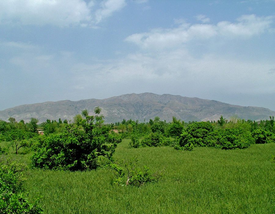 Mountain in Taxila